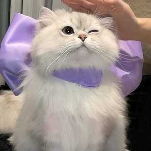 玛丽猫蝴蝶结宠物领结围脖猫咪项链装 饰比熊小狗狗项圈布偶猫德文