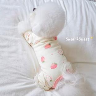 宠物狗狗衣服包肚子四脚衣猫猫泰迪比熊狗狗睡衣小型幼犬春秋保暖