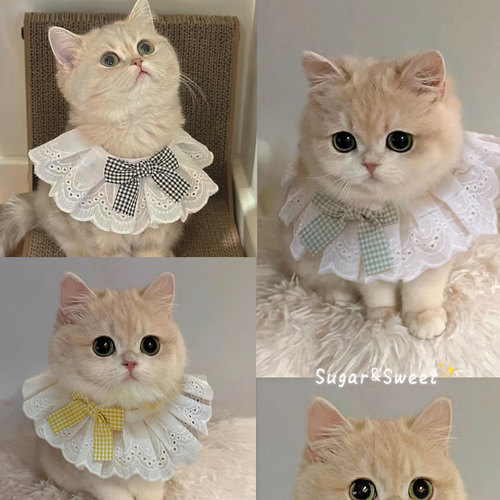 猫咪蝴蝶结围兜狗狗口水巾