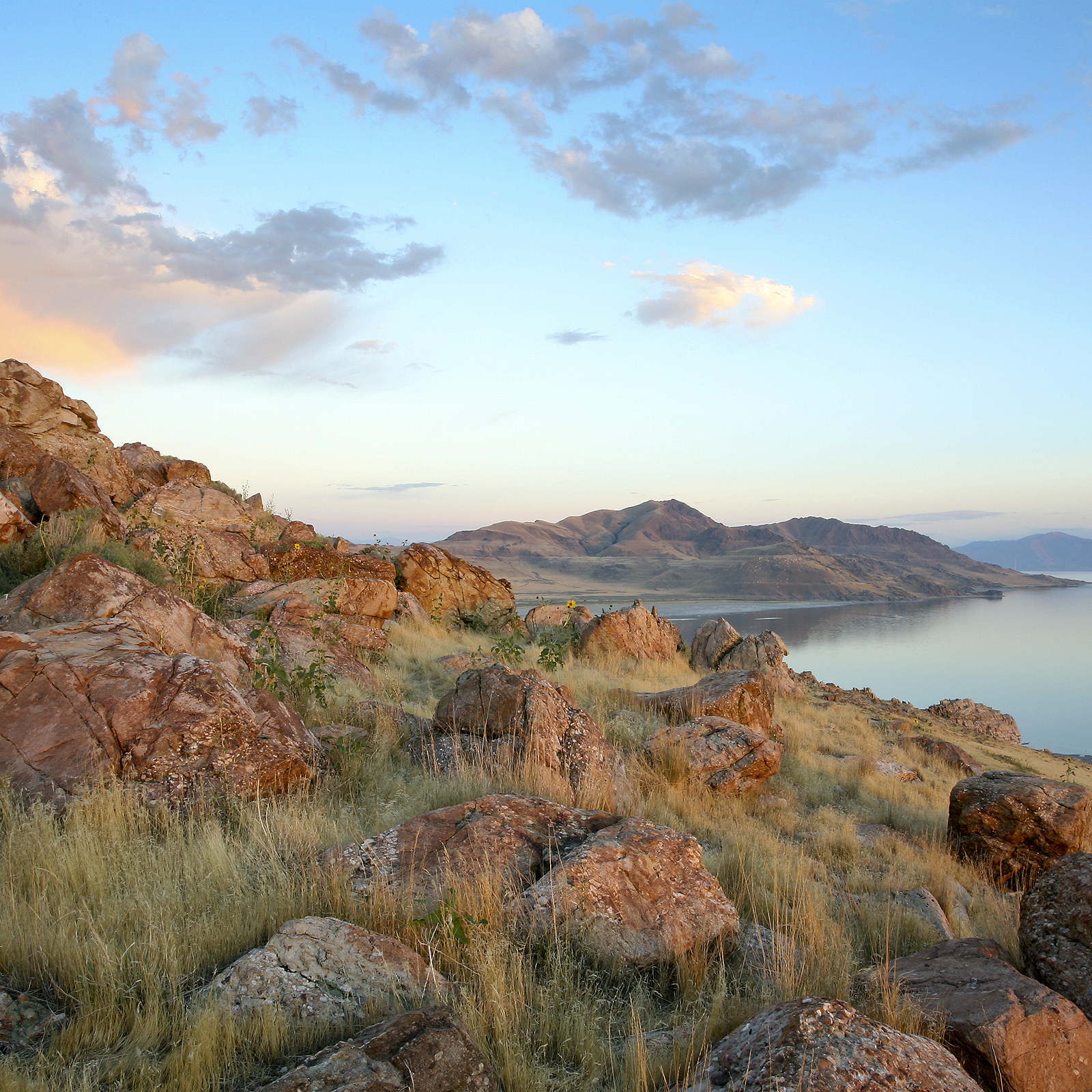 01/元自动发货0.1/元1毛/钱秒/评手机图片商品素材6