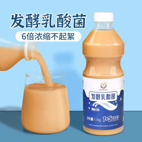 乳酸菌浓缩益生菌1.1kg