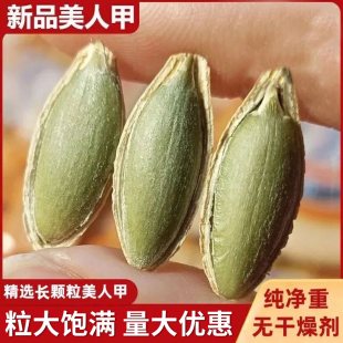 新货美人甲新疆内蒙长粒饱满南瓜子坚果炒货南瓜籽小零食厂家批发