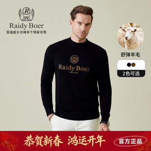 雷迪波尔男装针织毛衣2025秋季新款半高领刺绣微弹黑色羊毛毛衣男