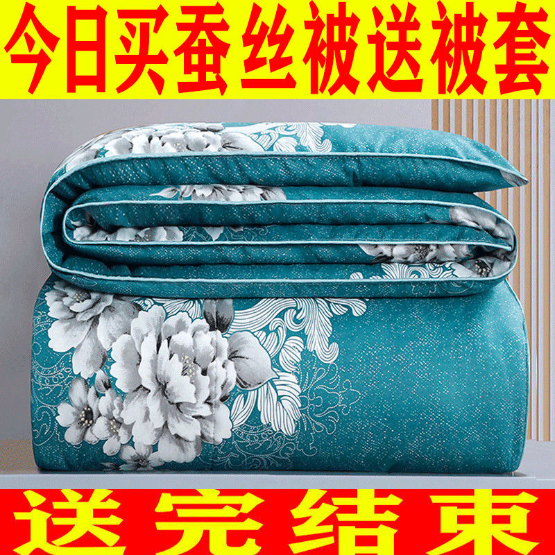 特价蚕丝被子被芯冬天加厚棉被芯双人春秋被学生宿舍单人空调夏被