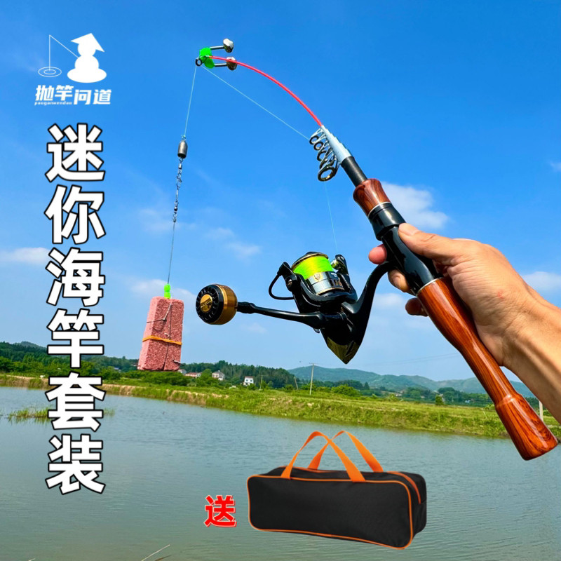 抛竿问道迷你海竿套装超硬便携短海钓竿