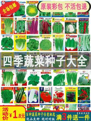 蔬菜种子四季蔬菜种子四季