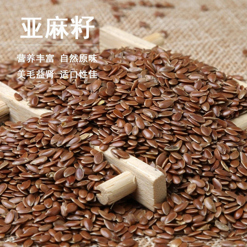 黄金亚麻籽仓鼠零食饲料粮食美毛改善糖尿病花枝鼠金丝熊零食用品,宠物/宠物食品及用品,玩具/造景装饰,淘宝优惠券,粉丝福利购,淘宝优惠卷