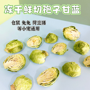 满额包邮仓鼠零食冻干孢子甘蓝磨牙专用蔬菜干兔子豚鼠鹦鹉零食