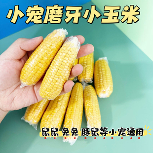 满额包邮仓鼠磨牙小玉米金丝熊零食用品大全龙猫豚鼠兔子小零食