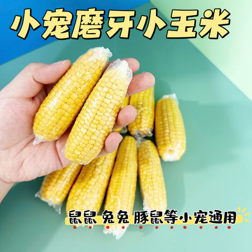 包邮仓鼠磨牙小玉米金丝熊零食用品龙猫豚鼠兔子鹦鹉磨牙棒小零食