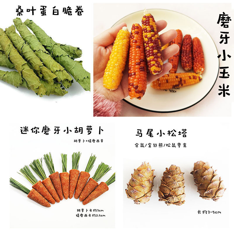 仓鼠迷你磨牙小玉米棒胡萝卜仓鼠磨牙零食金丝熊龙猫豚鼠兔子零食