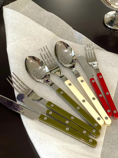 新款 Sabre Paris蕨绿色亮面西餐具套装刀叉勺子4件法国原装进口