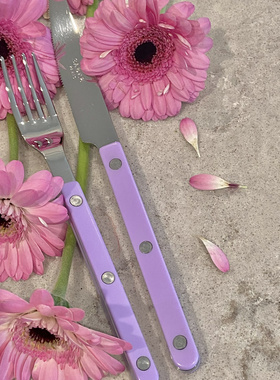 新款 法国原装进口sabre Paris紫色刀叉勺餐具家用套装西餐高颜值