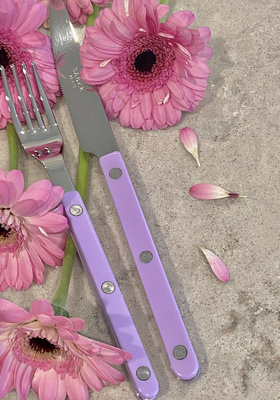 法国进口sabreParis新款紫色