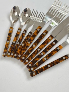 刀叉勺家用送礼 Paris玳瑁琥珀亮面西餐具套装 法国原装 进口Sabre