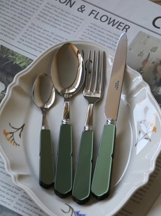 刀叉勺子 Paris花瓣系列深绿色ins风家用西餐套装 新款 法国Sabre