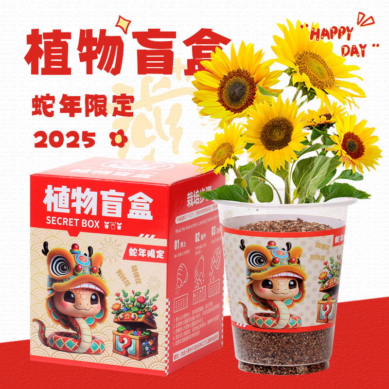 毕业礼物植物盲盒桌面小盆栽创意节日儿童绿植种子盲盒盆栽