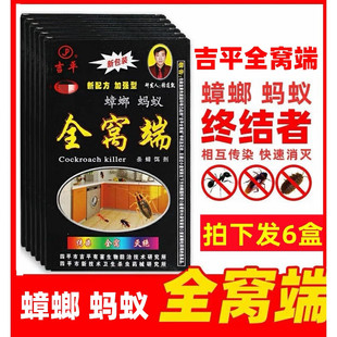 吉平全窝端灭蟑螂药捕捉器除杀蚂蚁灭蟑粉状饵剂蟑螂胶饵屋灭蟑药