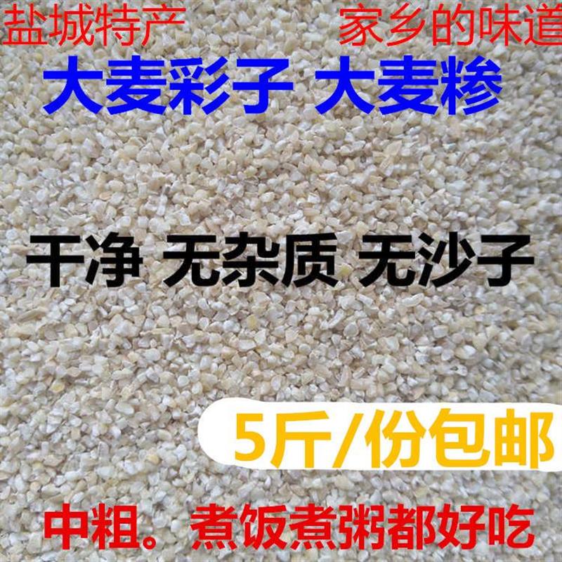 *苏北盐城农家特产煮粥煮饭大麦采麦糁子磨碎中粗大麦彩子5斤包/