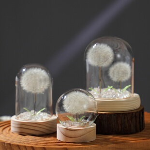 跨境亚马逊热卖干花真花蒲公英玻璃罩成品桌面摆件节日送女生礼品