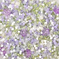 Purple Dream Roland 20G