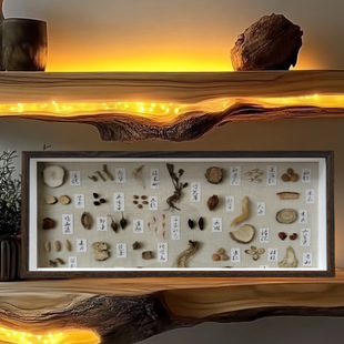 木质长条中空3cm相框植物干花果实材贝壳标本手工diy装裱画框