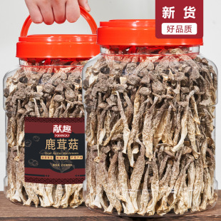 新货鹿茸菇500g罐装 菌菇干货长香菇云南高山菌菇煲汤食材脆菇