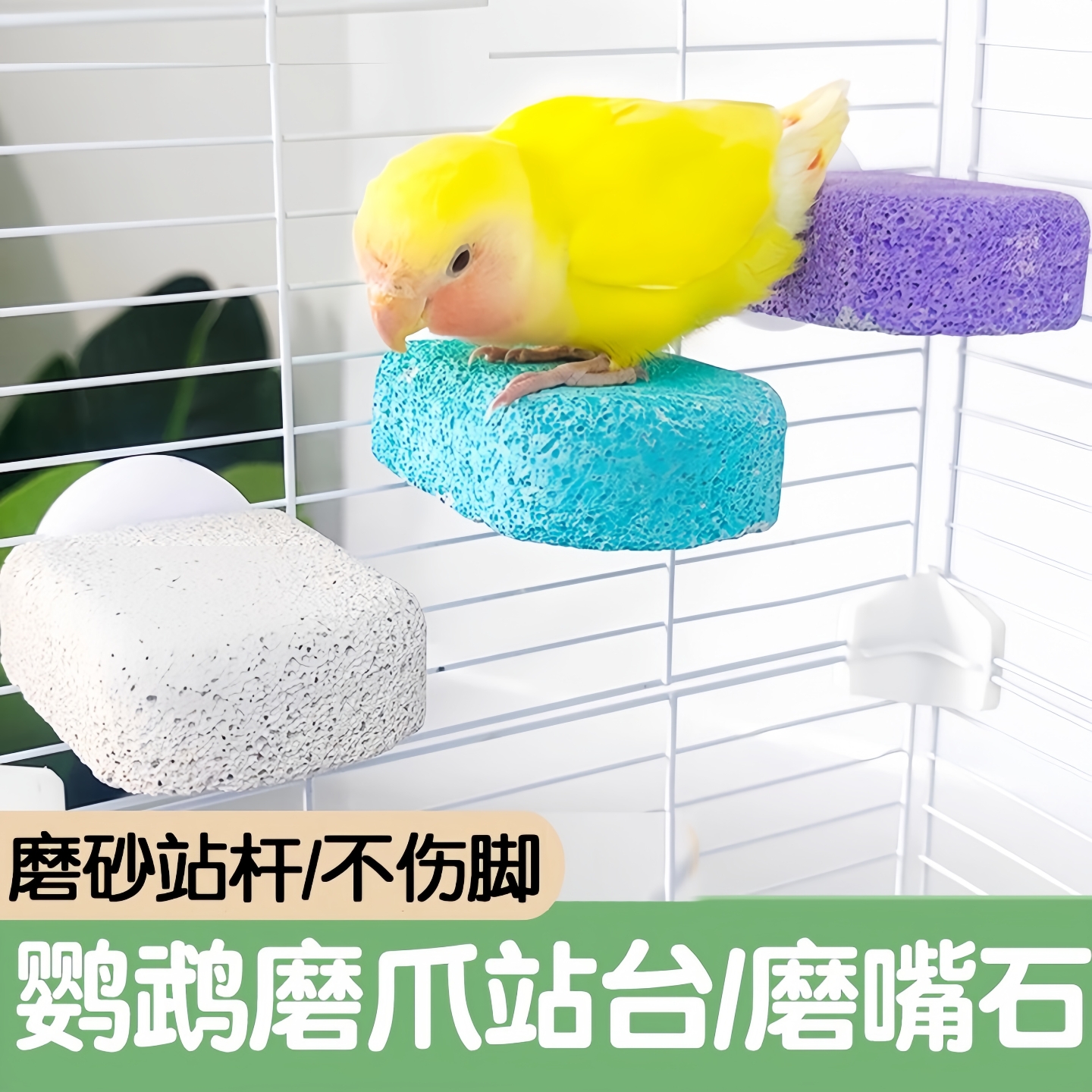 鹦鹉磨牙棒专用磨砂站杆