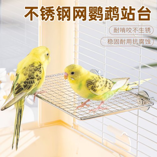 鹦鹉不锈钢站台平台栖息网架