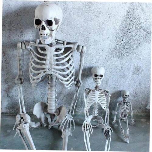 Halloween decorations Skull skeleton property horror万圣骷髅