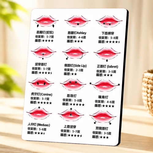 纹身穿刺店唇钉款式位置展示装饰摆件网红门店桌面宣传摆台