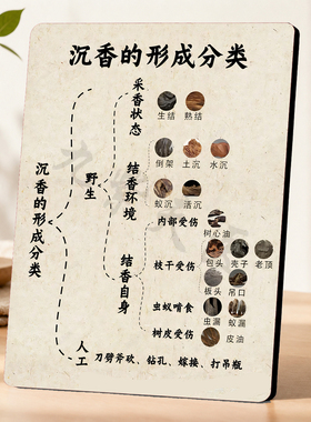 沉香形成分类科普展示牌中式文玩店茶室桌面装饰摆件