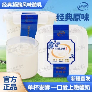 2方桶原味黄桃卡曼橘酸奶风味低温 800g 伊利经典 凝酪酸奶大桶装