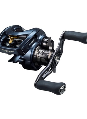 Daiwa达亿瓦渔线轮23年 史帝兹 Steels A II TW 1000XHL 日本直邮