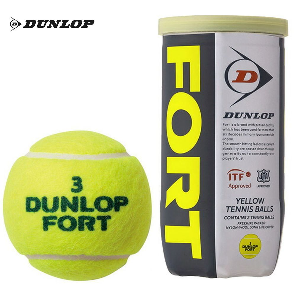 DUNLOP邓禄普网球 FORT  FEYL2TIN  2球x 30罐