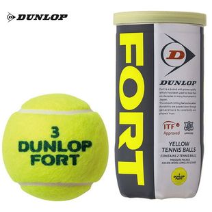 2球x DUNLOP鄧祿普網(wǎng)球 FORT FEYL2TIN 30罐