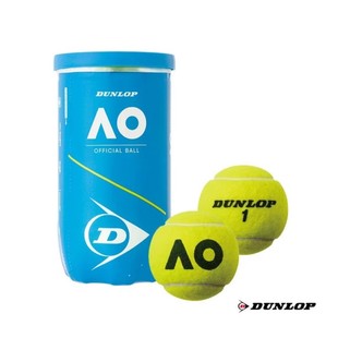 澳大利亞公開賽DAOYL2TIN DUNLOP鄧祿普網(wǎng)球 2球×30瓶