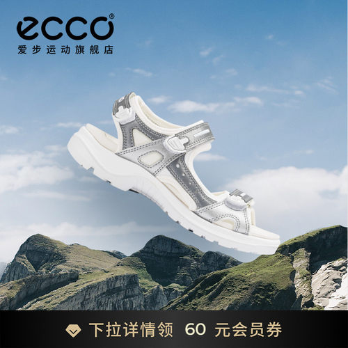 ECCO 822253