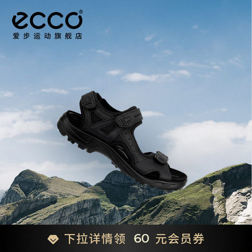 ECCO822254