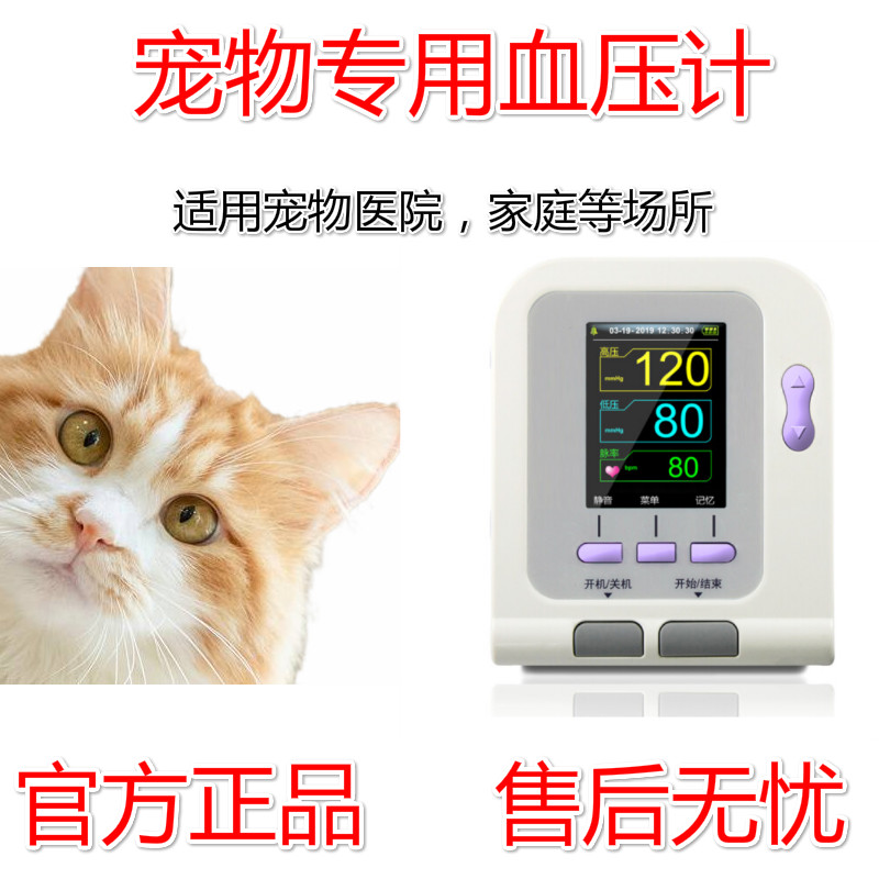 concnet宠物动物猫狗血压计