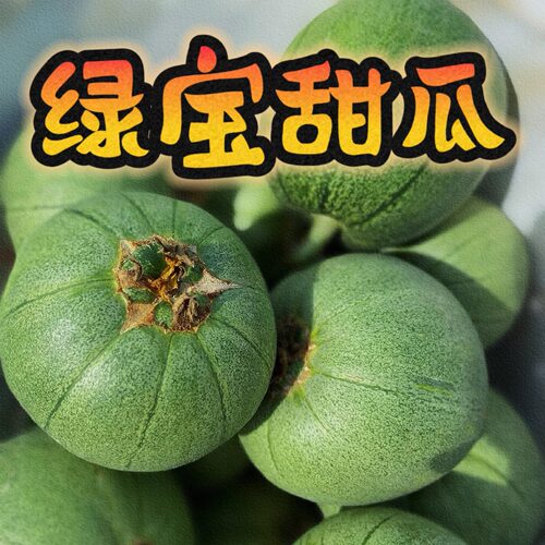 绿宝甜瓜2025新鲜采摘脆甜多汁顺丰包邮陕西应季时令水果