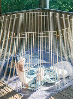 中西【Midwest】宠物雪貂龙猫兔子放风笼围栏折叠