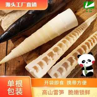 之江手剥雷笋单根装携带方便开袋即食脆嫩可口锁鲜