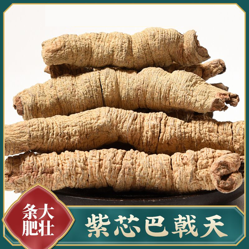 粗条新鲜正品巴戟天500g男性泡茶泡水搭配杜仲韭菜籽牛大力巴戟天