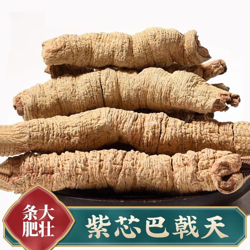 粗条新鲜正品巴戟天500g男性泡茶泡水搭配杜仲韭菜籽牛大力巴戟天