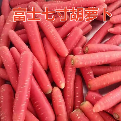 种子富士七寸胡萝卜口感好