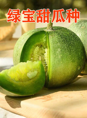 绿宝甜瓜种子甜瓜苗子
