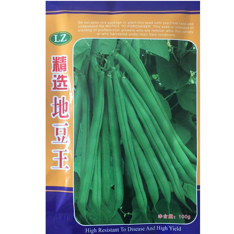 精选地豆王种子商品性好极早熟