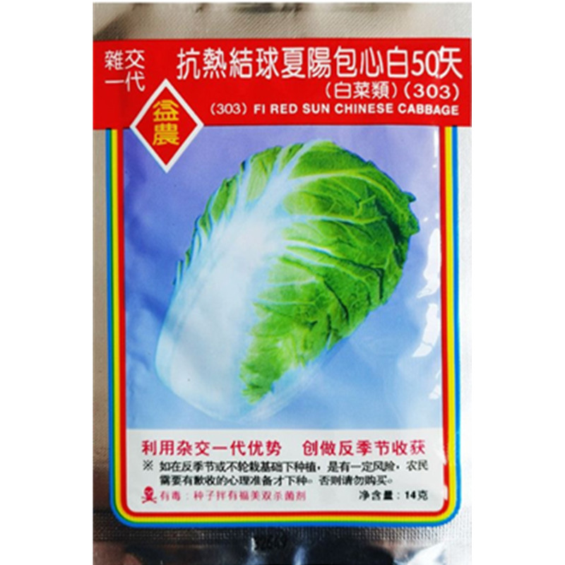 抗热抗湿抗病大白菜种子