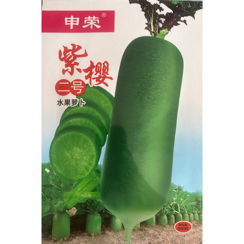 申荣紫樱二号水果萝卜种子甜脆图片